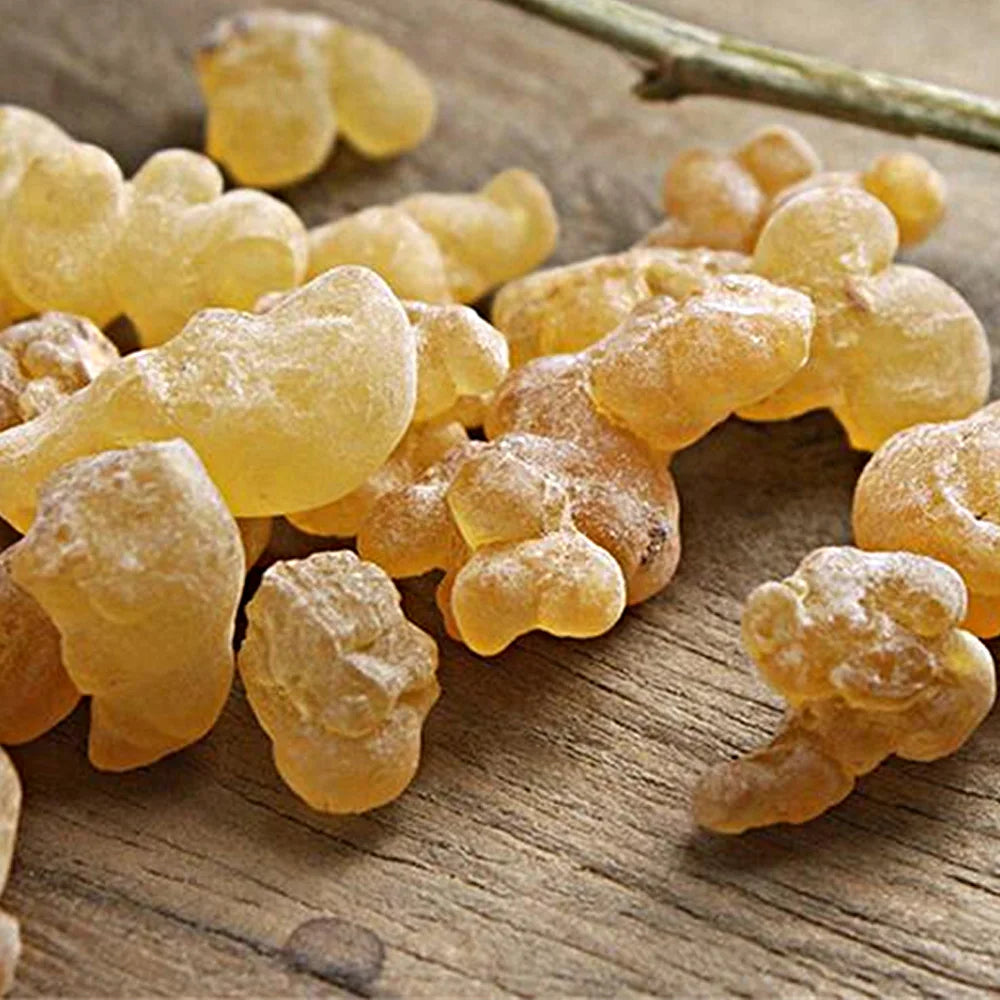 High Quality Frankincense Incense Block Clean Aroma Nipple Boswellia Frankincense 20g