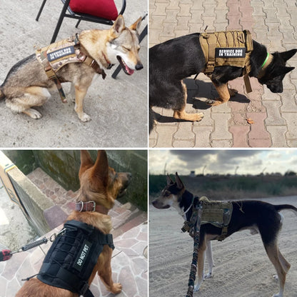 Tactical Dog Harnesses Pet Training Vest Military Dog Harness Leash Collar For Small Medium Large Dogs Walking Hunting