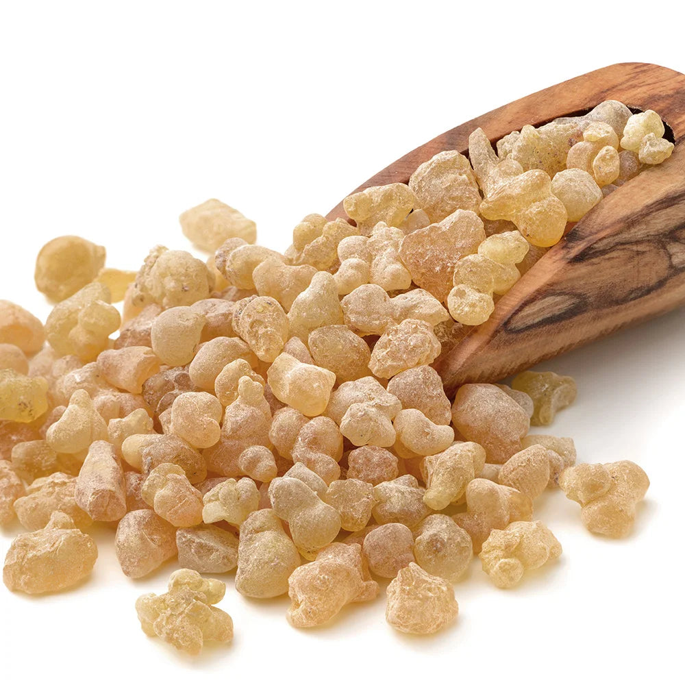 High Quality Frankincense Incense Block Clean Aroma Nipple Boswellia Frankincense 20g