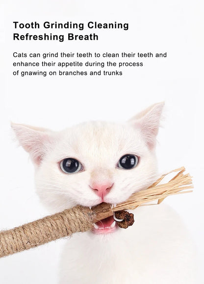 1 Pc Cat Toys Silvervine Chew Stick Polygonum Kitty Raffia Grass Pet Supplies Cleaning Teeth Stick Pet Bite Cat Toy Hemp Rope