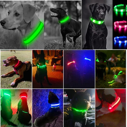 Fashion Pet Dog Collar Nylon Glow LED Glowing Cat Collars Adjustable Dog Leash Anti-loss Pet Cats Dogs Harness Accessories