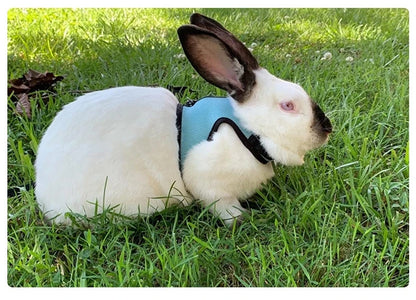 Mutil-Colors Breathable Stylish Vest Small Pet Carrier Bag Adjustable Soft Harness  And Elastic Leash Set For Rabbits