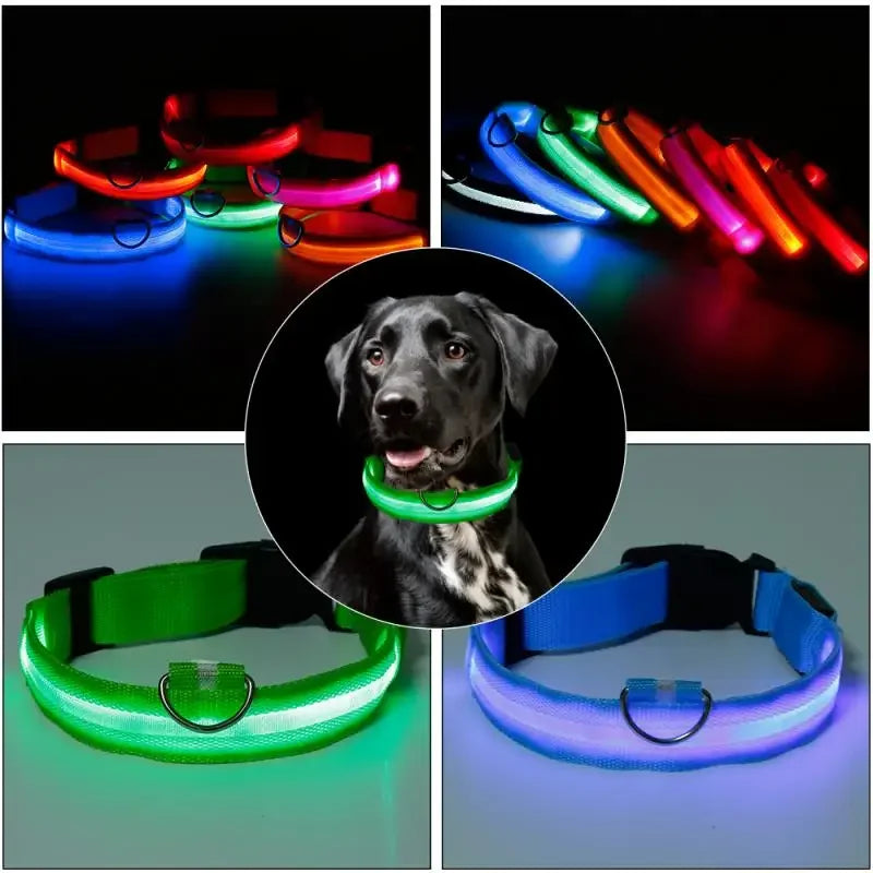 Fashion Pet Dog Collar Nylon Glow LED Glowing Cat Collars Adjustable Dog Leash Anti-loss Pet Cats Dogs Harness Accessories