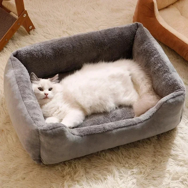 Bed for Cats Pet Products Cushions Kitten Goods Accessories Dog All Houses Supplies Things Accessory Habitats Basket House Beds