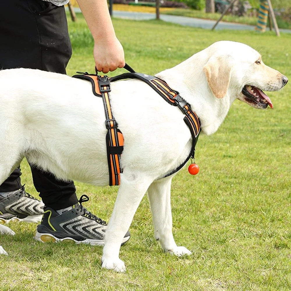 Portable Big Dog Harness Vest Durable Sturdy Pet Harnesses for Medium Large Dogs Pitbull Shepherd Labrador mascotas Accessories