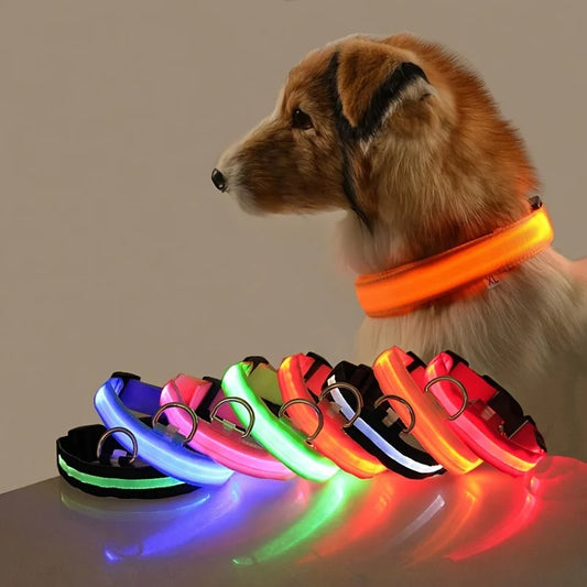 Nylon LED Night Safety Flashing Glow In The Dark Dog Leash Dogs Luminous Fluorescent Pet Dog Collar