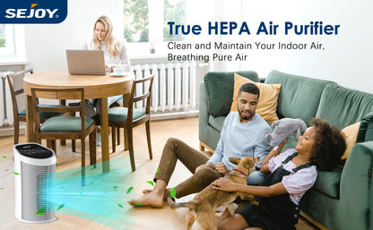 Sejoy Air Purifier HEPA Filter For Indoor 200 Square Feet 99.9% Removal With Ionizer Quiet 3 Speeds Bedroom Pets Air Purifier