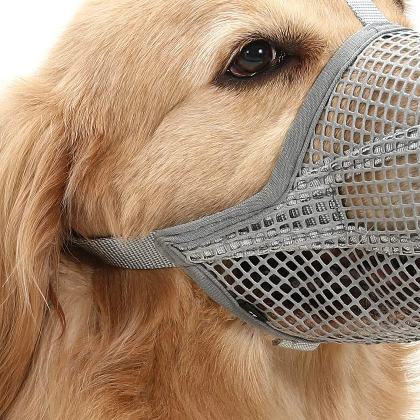 Pet Dog Muzzles Adjustable Breathable Dog Mouth Cover Anti Bark Bite Mesh Dogs Mouth Muzzle Mask For Dogs Long Mouth Doggy Use