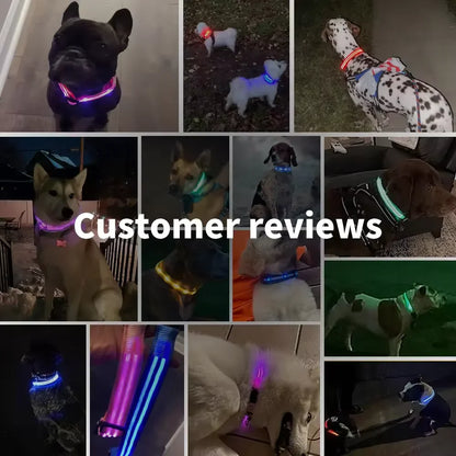 Fashion Pet Dog Collar Nylon Glow LED Glowing Cat Collars Adjustable Dog Leash Anti-loss Pet Cats Dogs Harness Accessories