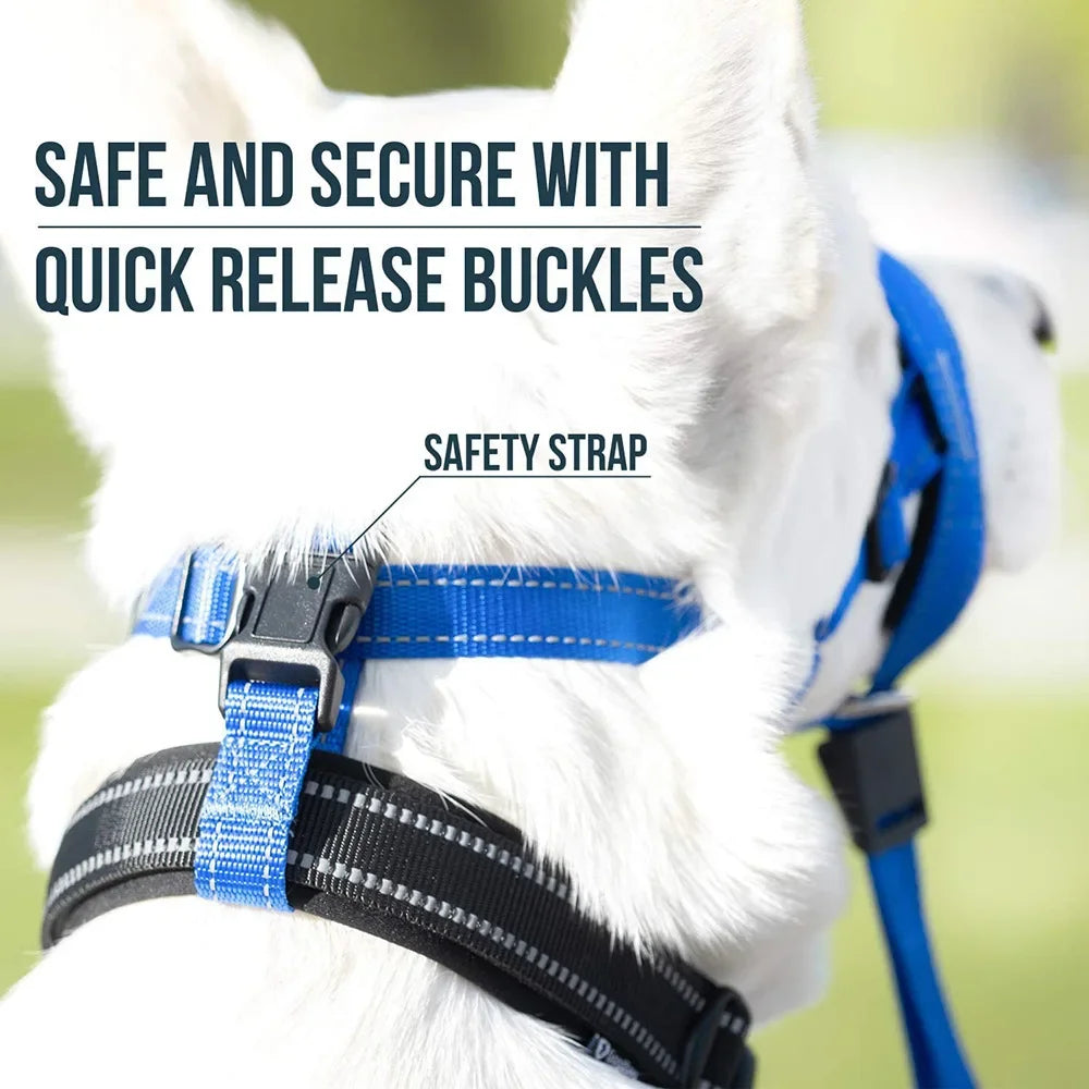 Quick-release Dog Muzzle for Dog Head Halter Muzzle with Safety Strap Anti-biting Dog Muzzle To Stop Dog Pulling on the Leash