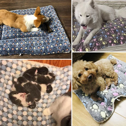 Pet Sleeping Mat Dog Bed Cat Bed Soft Hair Thickened Blanket Pad Fleece Home Washable Warm Bear Pattern Blanket Pet Supplies