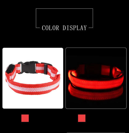 Nylon LED Night Safety Flashing Glow In The Dark Dog Leash Dogs Luminous Fluorescent Pet Dog Collar